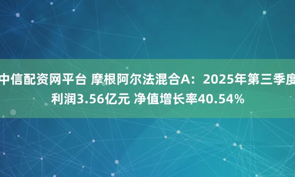 中信配资网平台 摩根阿尔法混合A：2025年第三季度利润3.56亿元 净值增长率40.54%