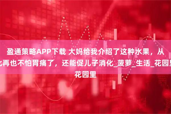 盈通策略APP下载 大妈给我介绍了这种水果，从此再也不怕胃痛了，还能促儿子消化_菠萝_生活_花园里